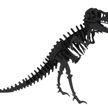 Fridolin 3-D Papiermodell "Tyrannosaurus Rex" | Bild 2