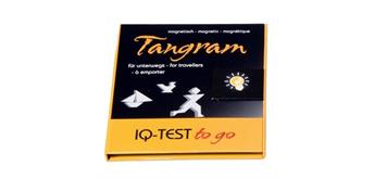 fridolin Magnet Tangram Buch, Quadrat, IQ-Test