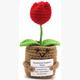 Gestrickte Positive Rose 13 cm