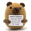 Gestrickte Positiver Freund Capybara 8 cm