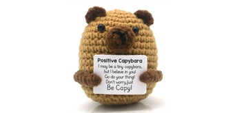 Gestrickte Positiver Freund Capybara 8 cm