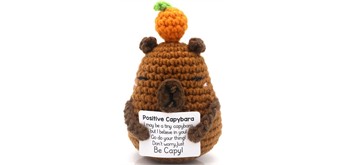 Gestrickter Positiver Capybara 10 cm