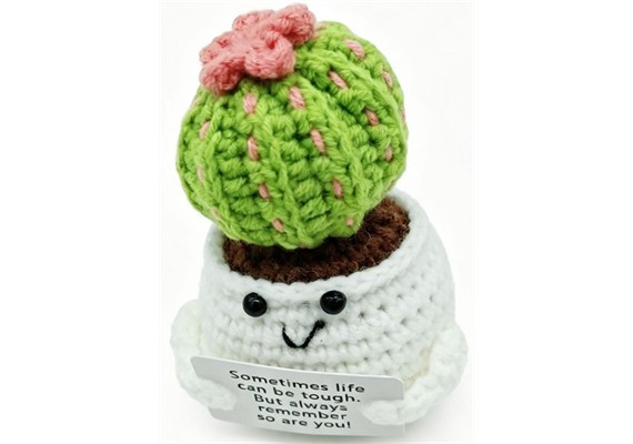 Gestrickter Positiver Freund Kaktus 11.5 cm