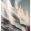 Günther - Einleiner-Drachen Thoron | Bild 2