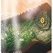 Günther - Kinderdrachen T-Rex | Bild 2