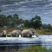 Heye Humboldt Herd of Elephants Panorama 2000 Teile | Bild 2