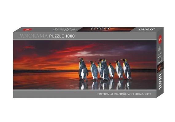 Heye - King Penguins Panorama 1000 Teile