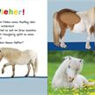 Hör mal rein, wer kann das sein? Kuschelige Tiere | Bild 6