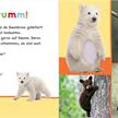 Hör mal rein, wer kann das sein? Kuschelige Tiere | Bild 3