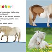 Hör mal rein, wer kann das sein? Kuschelige Tiere | Bild 6
