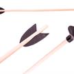 Holzspielerei Kinderbogen 80 cm, mit 3 Pfeilen (Saugnapf) | Bild 3