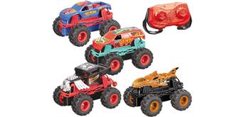 Hot Wheels RC Mini Monster Truck 4-fach sortiert