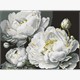 Ideyka AMC20451 Diamond Painting ohne Rahmen Makellose Schönheit 30 x 40 cm