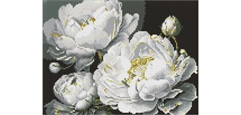 Ideyka AMC20451 Diamond Painting ohne Rahmen Makellose Schönheit 30 x 40 cm