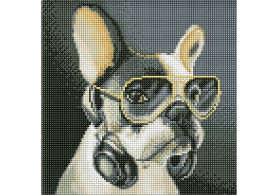 ideyka AMC7725 Diamond Painting - Flauschiger DJ 30 x 30 cm