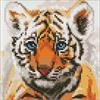 ideyka AMC7791 Diamond Painting - Kleines Tigerjunges 20 x 20 cm