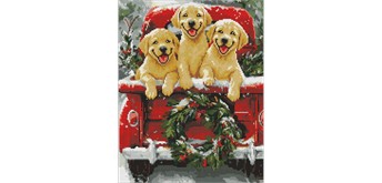 Ideyka AMO20006 Diamond Painting Hundeausflug 40 x 50 cm