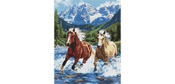 Ideyka AMO20010 Diamond Painting Kraft in Bewegung 40 x 50 cm