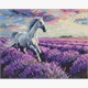 Ideyka AMO20227 Diamond Painting mit Rahmen In den Lavendelfeldern 40 x 50 cm