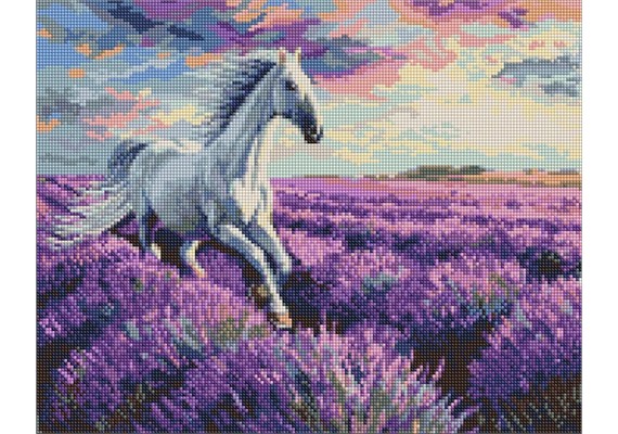 Ideyka AMO20227 Diamond Painting mit Rahmen In den Lavendelfeldern 40 x 50 cm