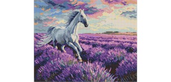 Ideyka AMO20227 Diamond Painting mit Rahmen In den Lavendelfeldern 40 x 50 cm