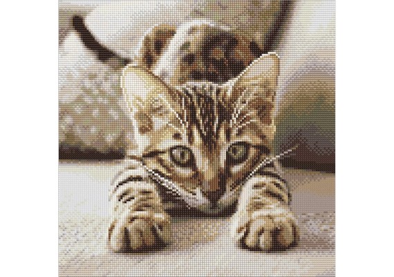 Ideyka AMO20280 Diamond Painting mit Rahmen Verspieltes Kätzchen 40 x 40 cm