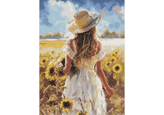 Ideyka AMO20352 Diamond Painting mit Rahmen Der Sonne entgegen 30 x 40 cm
