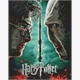 Ideyka AMO20357 Diamond Painting mit Rahmen Harry Potter: Harry und Voldemort 40 x 50 cm
