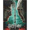 Ideyka AMO20357 Diamond Painting mit Rahmen Harry Potter: Harry und Voldemort 40 x 50 cm