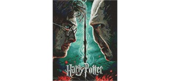 Ideyka AMO20357 Diamond Painting mit Rahmen Harry Potter: Harry und Voldemort 40 x 50 cm