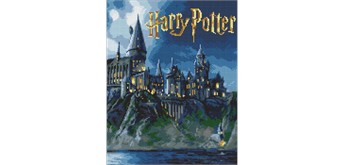 Ideyka AMO20364 Diamond Painting mit Rahmen Harry Potter: Hogwarts bei Nacht 40 x 50 cm