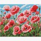 Ideyka AMO20436 Diamond Painting mit Rahmen Rosa Mohnblumen 40 x 50 cm