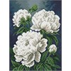 Ideyka AMO20446 Diamond Painting Weisse Pfingstrosen mit Rahmen 30 x 40 cm