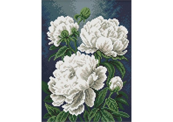 Ideyka AMO20446 Diamond Painting Weisse Pfingstrosen mit Rahmen 30 x 40 cm