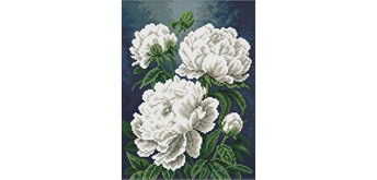 Ideyka AMO20446 Diamond Painting Weisse Pfingstrosen mit Rahmen 30 x 40 cm