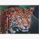 ideyka AMO7203 Diamond Painting - Leopard mit Rahmen 30 x 40 cm