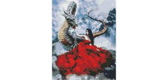 ideyka AMO7252 Diamond Painting - Mystische Begegnung mit Rahmen 40 x 50 cm