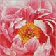 ideyka AMO7273 Diamond Painting - Pfingstrose mit Rahmen 40 x 40 cm