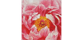 ideyka AMO7273 Diamond Painting - Pfingstrose mit Rahmen 40 x 40 cm