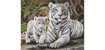 ideyka AMO7369 Diamond Painting - Bengalische Familie 40 x 50 cm