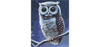 ideyka AMO7413 Diamond Painting - Waldeule 40 x 50 mit Rahmen