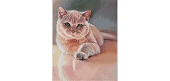 ideyka AMO7530 Diamond Painting - Lieblingspelz mit Rahmen 40 x 50 cm