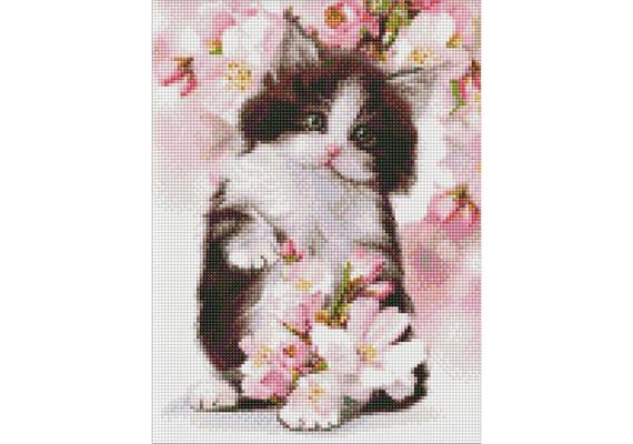 ideyka AMO7577 Diamond Painting - Kätzchen mit Rahmen 30 x 40 cm