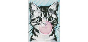 Ideyka AMO7585 Diamond Painting Rosa Blase 30 x 40 cm