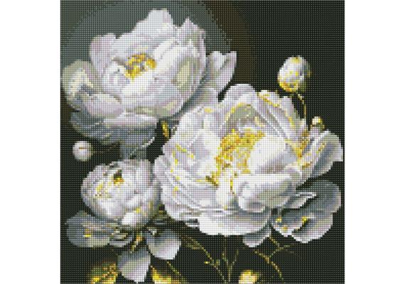 ideyka AMO7609 Diamond Painting - Tadellose Schönheit mit Rahmen 40 x 40 cm