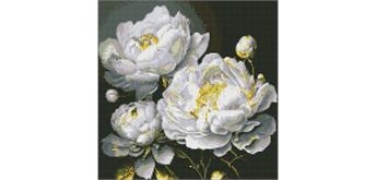 ideyka AMO7609 Diamond Painting - Tadellose Schönheit mit Rahmen 40 x 40 cm