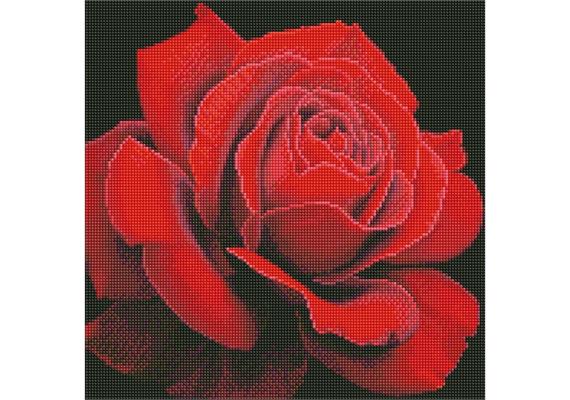ideyka AMO7634 Diamond Painting - Rote Rose mit Rahmen 40 x 40 cm