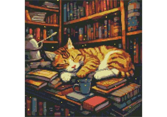 ideyka AMO7648 Diamond Painting - Buchliebhaber mit Rahmen 40 x 40 cm