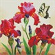 Ideyka AMO7650 Diamond Painting Edle Schwertlilien 40 x 40 mit Rahmen