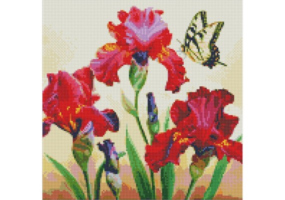 Ideyka AMO7650 Diamond Painting Edle Schwertlilien 40 x 40 mit Rahmen Ideyka AMO7650 Diamond Painting Edle Schwertlilien 40 x 40 mit Rahmen